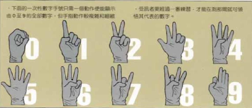 特种兵战术手势（手语）文图详解